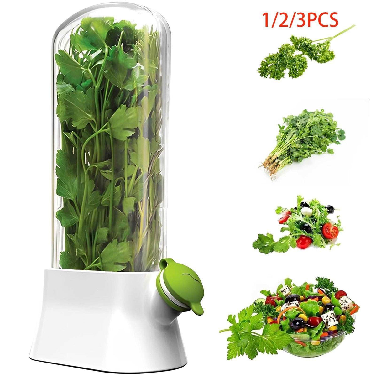 Cilantro and Scallion Refrigerator Storage Box (Transparent) (Pre-order - Ships in 14 days)